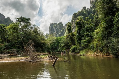 Jungle and rainforest with steep mountains, Khao Sok National Park, Phang Nga, Surat Thani,