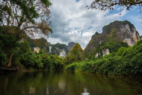 Jungle and rainforest with steep mountains, Khao Sok National Park, Phang Nga, Surat Thani,
