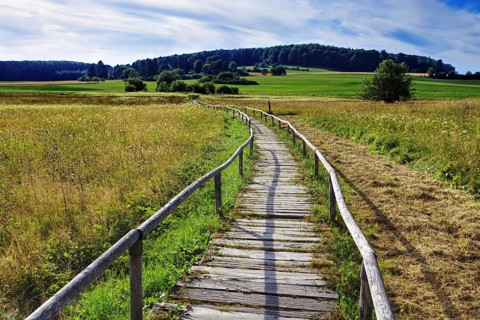 A wooden footbridge leads through the Schopflocher Moor, a raised bog in the Swabian Alb, under a