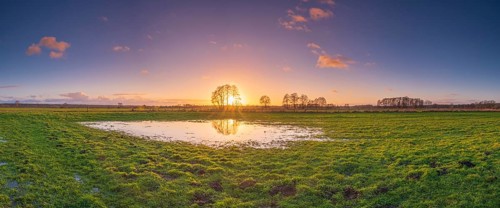 View of a puddle on a meadow at sunset, landscape photo, nature photo, flora, fauna, landscape