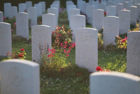 Gravestones, war graves, soldiers' graves, flowers, roses, British and German military cemetery,