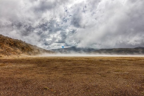 Fog, National Park, Cotopaxi, Ecuador