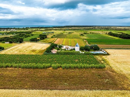 Fields and Grape plantations from a drone, Saint-Clement-des-Baleines, Atlantic, France