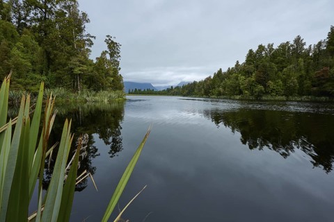A still lake with shore and trees reflecting in the water under a cloudy sky, summer, Lake