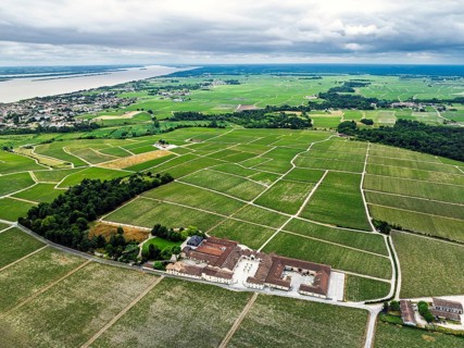 Chateau Pontet-Canet Vineyard and grape fields around Pauillac and Gironde Estuary from a drone,