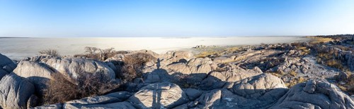 View over the salt pan of Kubu Island with round rocks, African baobab (Adansonia digitata), Kubu