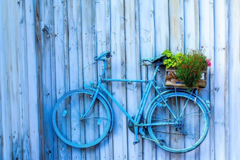 Blue, old bicycle on a wooden wall, Unterallgäu, Bavaria