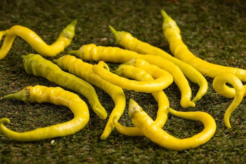 Fresh peppers with slightly twisted shapes on green grass