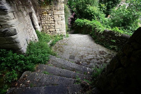 Stairs down a path lined with green plants. The path runs along a ravine and connects the Superior