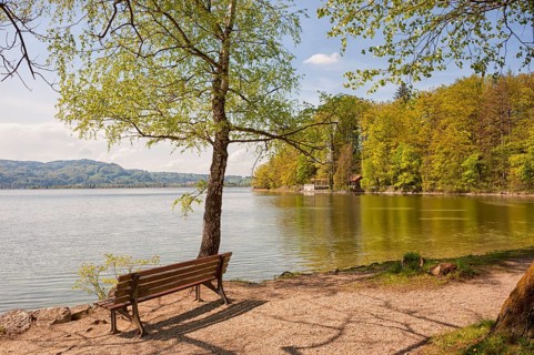 Lake Kochel, empty bench on the lakeshore, Kochel, Upper Bavaria, Bavaria