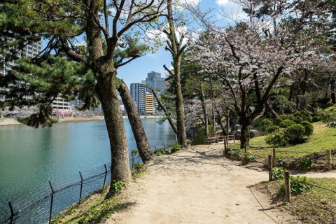 Kyobashi-gawa river and path in Shukkei-en with blossoming cherry trees in spring, Sakura,