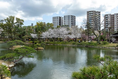 Shukkei-en with blossoming cherry trees, sakura, and Takuei-chi pond in spring, historic Japanese