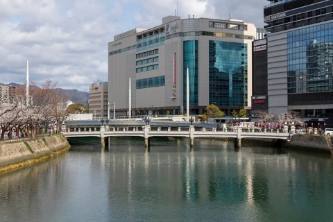 Tourist attraction, place of interest, riverside promenade with blossoming cherry trees, Sakura,