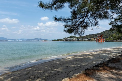 Beach with surf and torii in the water, sight, tourist attraction, UNESCO World Heritage Site,