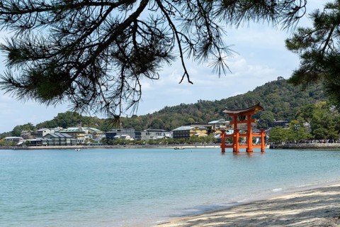 Beach with surf and torii in the water, sight, tourist attraction, UNESCO World Heritage Site,