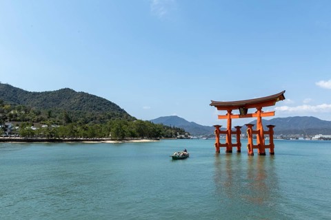 An excursion boat with tourists passes through the torii in the water, sight, tourist attraction,