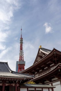 Landmark, tourist attraction, architecture, curved roofs, Zojoji Hall, Zojo-ji Temple, Busshist