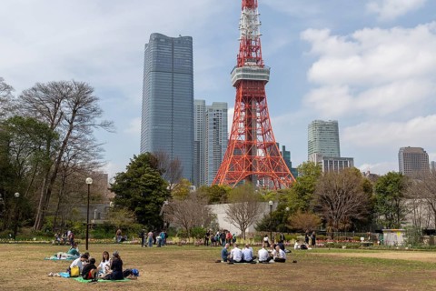 Sightseeing, tourist attraction, Tokyo Tower and young Japanese people in Shiba Park, Shibakoen,