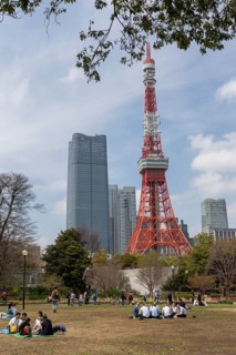 Sightseeing, tourist attraction, Tokyo Tower and young Japanese people in Shiba Park, Shibakoen,
