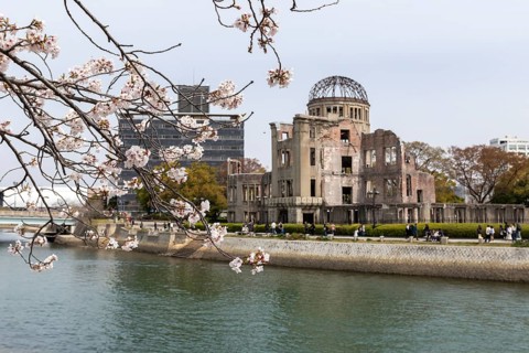 Blossoming cherry tree, Sakura, behind it the ruins of the Atomic Bomb Dome, landmark, UNESCO World