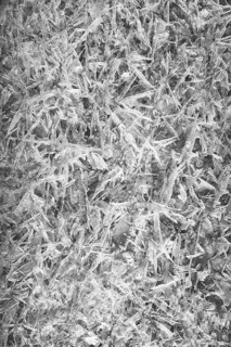 Close-up of ice crystals in an abstract, structured form, Kamptal Waldviertel Austria