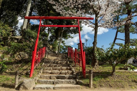 Torii at Mount Kifuku in Shukkei-en with blossoming cherry trees, sakura, and Takuei-chi pond in