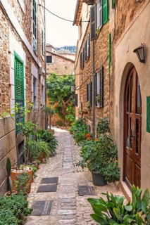 Idyllic narrow cobblestone alley with lush green plants and flowers at the entrance to a
