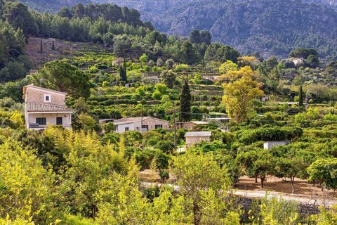 Farmhouse in a fruit orchard with lush green foliage in a mountain valley a sunny summer day in the