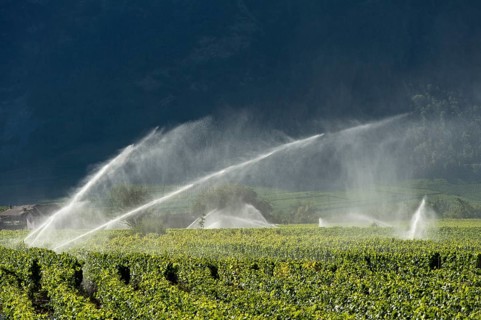 Irrigation cannons irrigate vineyards in the Rhone Valley, Chamoson, Valais, Switzerland