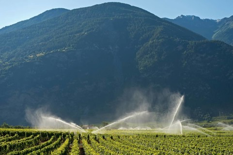 Irrigation cannons irrigate vineyards in the Rhone Valley, Chamoson, Valais, Switzerland