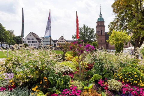 Floral decorations on the market square in Freudenstadt in the Black Forest, the largest built-up