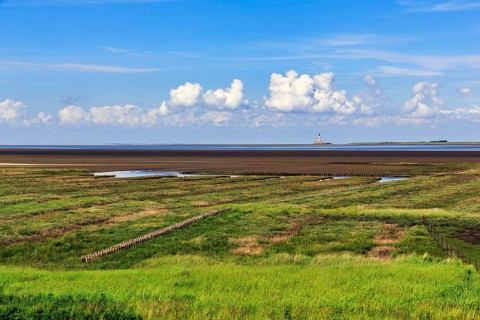 Salt marshes, lighthouse Westerheversand on the horizon, Cumulus, Westerhever, Eiderstedt,