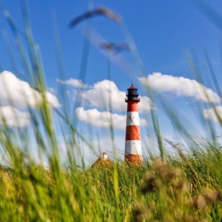 View through grasses to lighthouse Westerheversand, Westerhever, Eiderstedt, Nordfriesland,