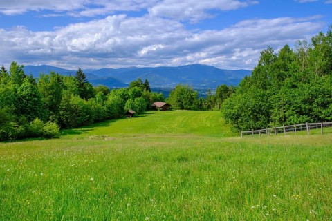 At the Baumgartnerhof, near Finkenstein, Carinthia, Austria