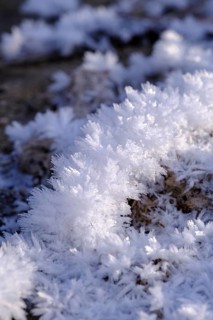 Snow crystals in winter on the young Isar between Wallgau and Vorderriss, Tölzer Land, Upper