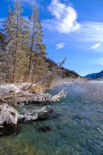 Winter on the young Isar between Wallgau and Vorderriss, Tölzer Land, Upper Bavaria, Bavaria,