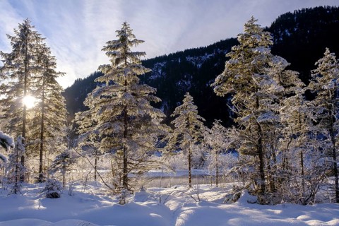 Sunrise in the forest, winter on the young Isar between Wallgau and Vorderriss, Tölzer Land, Upper