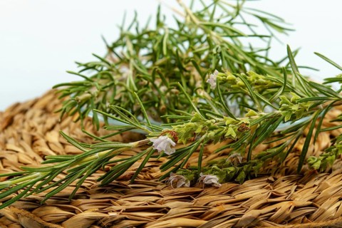 Sprigs of fresh rosemary with delicate white flowers lie on a woven mat, ready for culinary or