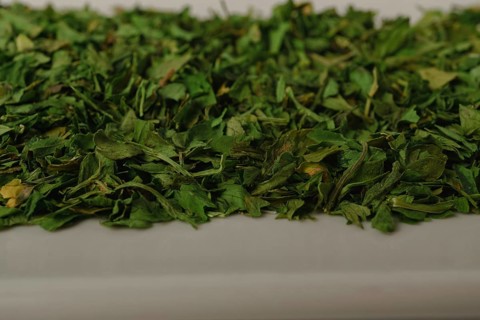 Close-up of dried parsley on a white dish