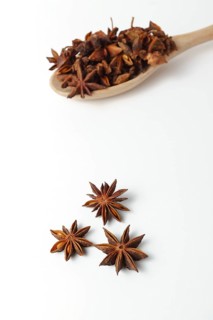 Close-up of star anise illicium verum in a wooden spoon isolated on white background and copy space