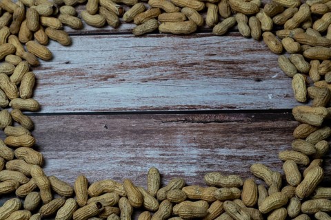 Group of peanuts arranged in a circle with copy space in the center