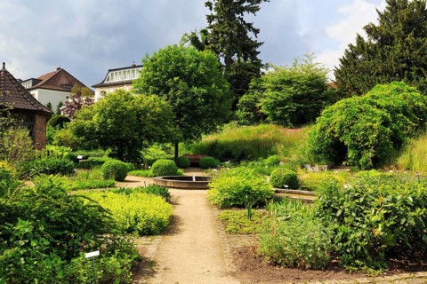 Paths for walkers in the Celle medicinal plant garden, show garden for medicinal plants, park, Expo
