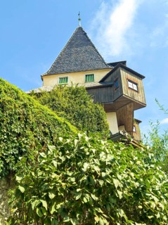 Historic tower and half-timbered house embedded in green vegetation under a blue sky Graz Clock