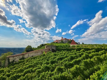 Panoramic view of green vineyards with a castle on a hill under a blue sky Riegersburg Styria