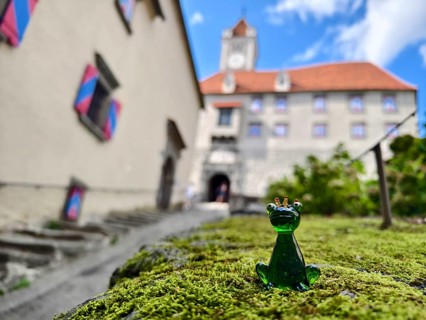 A glass frog sits on a mossy stone in front of a castle with colourful shutters Riegersburgs Styria