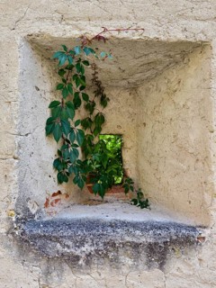 A small opening in a stone wall, framed by climbing plants that let in light Riegersburgs Styria