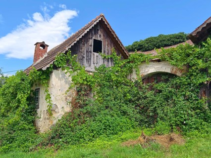 Abandoned country house overgrown with ivy, under a blue sky with an old roof Styria Austria