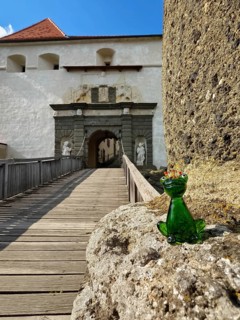 A glass frog sits on a stone in front of a fortress with a wooden bridge and blue sky Riegersburgs
