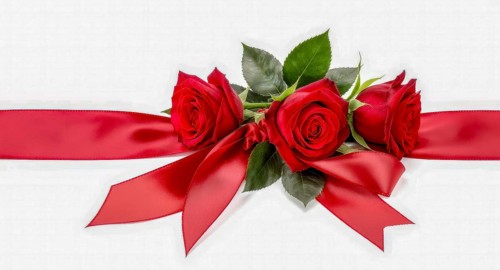 A beautiful image showcasing vibrant red roses with a silky ribbon on a pristine white backdrop,