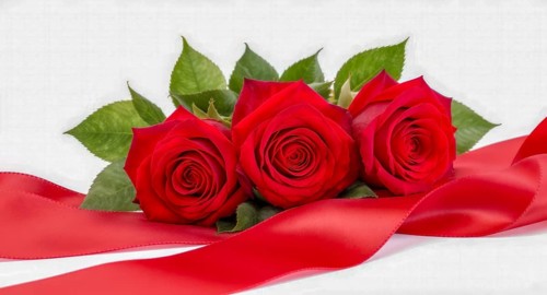 A vibrant image of three red roses, accompanied by green leaves and a flowing red ribbon against a